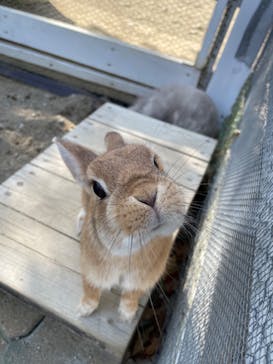 NESTA RESORT KOBE（ネスタリゾート神戸）に投稿された画像（2023/10/18）