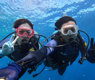 武藤潜水に投稿された画像（2023/10/19）