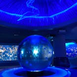 新江ノ島水族館に投稿された画像（2023/10/19）