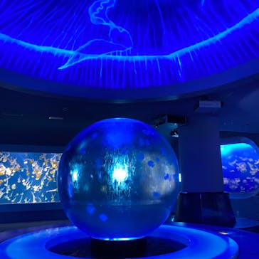 新江ノ島水族館に投稿された画像（2023/10/19）