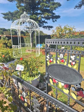 京成バラ園に投稿された画像（2023/10/19）