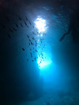 武藤潜水に投稿された画像（2023/10/19）