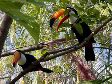 ネオパークオキナワに投稿された画像（2023/10/19）