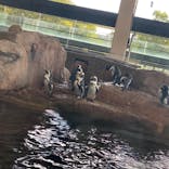 京都水族館に投稿された画像（2023/10/19）