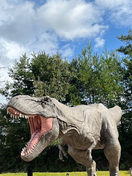 福井県立恐竜博物館に投稿された画像（2023/10/19）