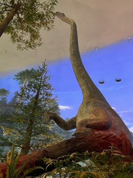 福井県立恐竜博物館に投稿された画像（2023/10/19）