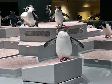 AOAO SAPPOROに投稿された画像（2023/10/19）