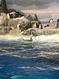名古屋港水族館に投稿された画像（2023/10/19）