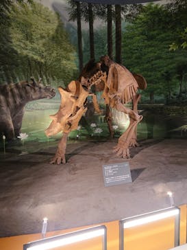 福井県立恐竜博物館に投稿された画像（2023/10/19）