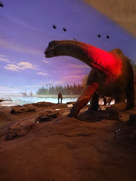 福井県立恐竜博物館に投稿された画像（2023/10/19）