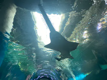 マクセル アクアパーク品川に投稿された画像（2023/10/19）