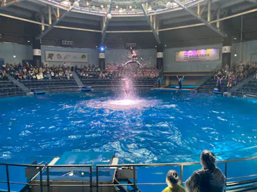 マクセル アクアパーク品川に投稿された画像（2023/10/19）