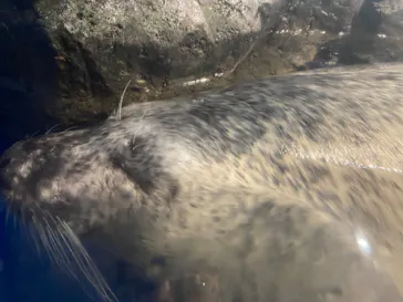 マクセル アクアパーク品川に投稿された画像（2023/10/19）