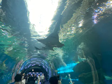 マクセル アクアパーク品川に投稿された画像（2023/10/19）