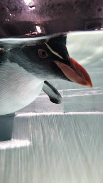 AOAO SAPPOROに投稿された画像（2023/10/19）