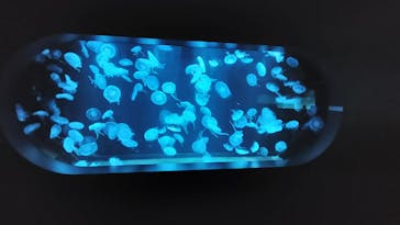 AOAO SAPPOROに投稿された画像（2023/10/19）