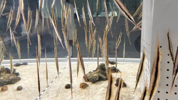 AOAO SAPPOROに投稿された画像（2023/10/19）