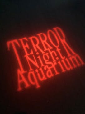 サンシャイン水族館に投稿された画像（2023/10/19）