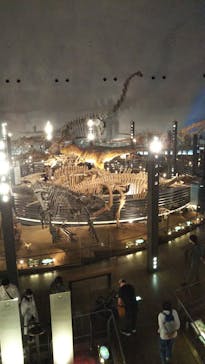 福井県立恐竜博物館に投稿された画像（2023/10/19）