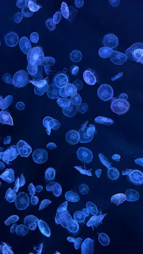 すみだ水族館に投稿された画像（2023/10/19）