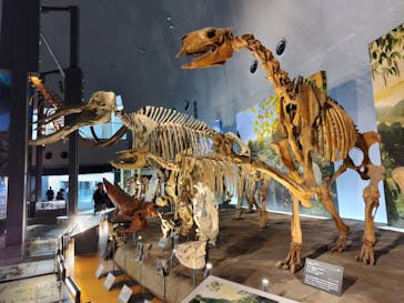 福井県立恐竜博物館に投稿された画像（2023/10/19）