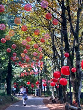 ムーミンバレーパークに投稿された画像（2023/10/19）