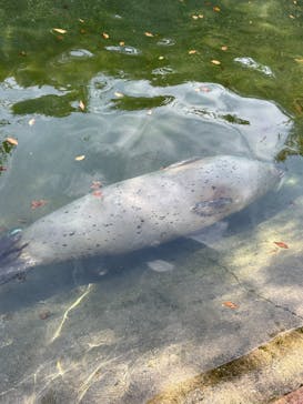 那須どうぶつ王国に投稿された画像（2023/10/19）