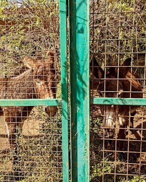 岩手サファリパークに投稿された画像（2023/10/19）
