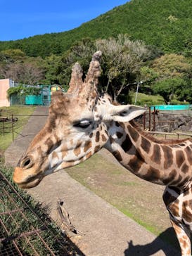 伊豆アニマルキングダムに投稿された画像（2023/10/19）