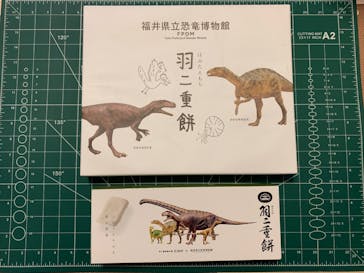 福井県立恐竜博物館に投稿された画像（2023/10/20）