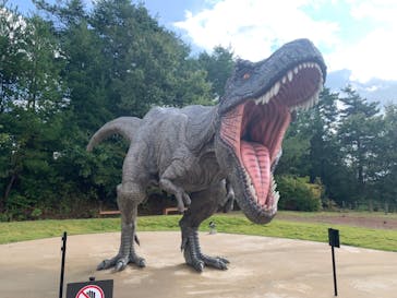 福井県立恐竜博物館に投稿された画像（2023/10/20）