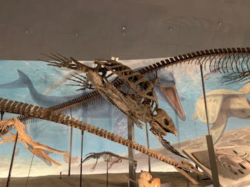 福井県立恐竜博物館に投稿された画像（2023/10/20）