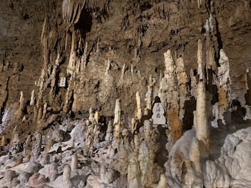 おきなわワールドに投稿された画像（2023/10/20）