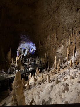 おきなわワールドに投稿された画像（2023/10/20）