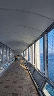 徳島県立 渦の道に投稿された画像（2023/10/20）