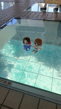 徳島県立 渦の道に投稿された画像（2023/10/20）