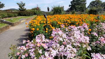 いばらきフラワーパークに投稿された画像（2023/10/20）