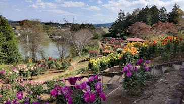 いばらきフラワーパークに投稿された画像（2023/10/20）