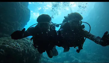 武藤潜水に投稿された画像（2023/10/20）