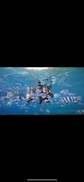 武藤潜水に投稿された画像（2023/10/20）