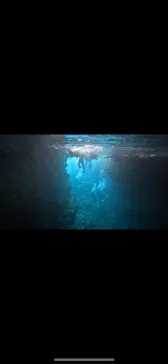 武藤潜水に投稿された画像（2023/10/20）