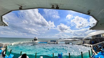 鴨川シーワールドに投稿された画像（2023/10/20）