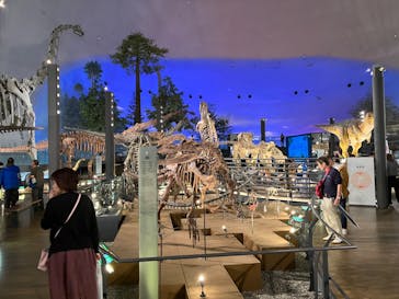 福井県立恐竜博物館に投稿された画像（2023/10/20）