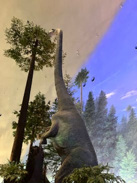 福井県立恐竜博物館に投稿された画像（2023/10/20）