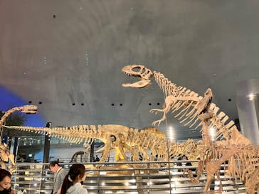 福井県立恐竜博物館に投稿された画像（2023/10/20）