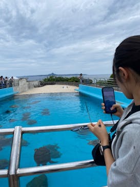 沖縄美ら海水族館に投稿された画像（2023/10/20）
