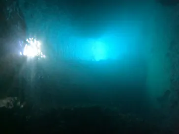 武藤潜水に投稿された画像（2023/10/20）