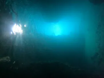 武藤潜水に投稿された画像（2023/10/20）