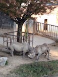 日立市かみね動物園に投稿された画像（2023/10/20）