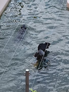 日立市かみね動物園に投稿された画像（2023/10/20）